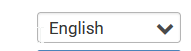 language field.png